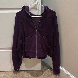 Majestic purple full zip scuba sweatshirt